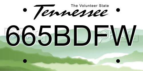 665BDFW Tennessee License Plate