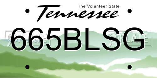 665BLSG Tennessee License Plate