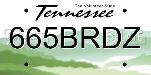 665BRDZ Tennessee License Plate