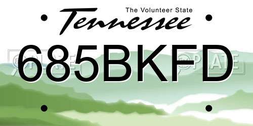 685BKFD Tennessee License Plate