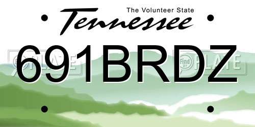 691BRDZ Tennessee License Plate
