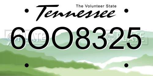 6OO8325 Tennessee License Plate