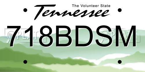 718BDSM Tennessee License Plate