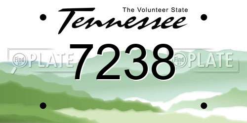 7238 Tennessee License Plate