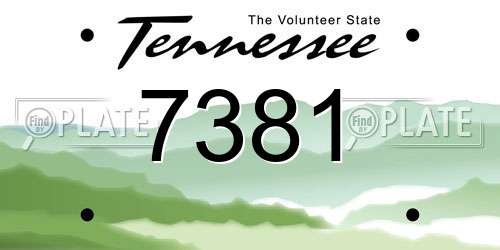 7381 Tennessee License Plate