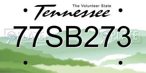 77SB273 Tennessee License Plate
