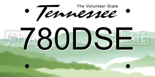 780DSE Tennessee License Plate