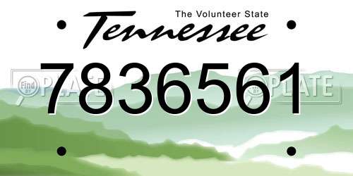 7836561 Tennessee License Plate