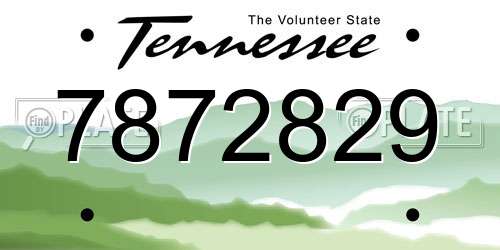 7872829 Tennessee License Plate