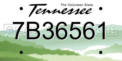 7B36561 Tennessee License Plate