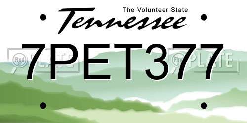 7PET377 Tennessee License Plate