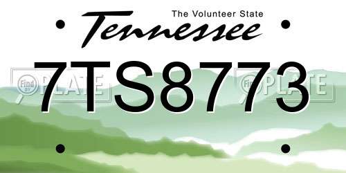 7TS8773 Tennessee License Plate