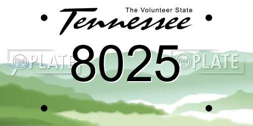 8025 Tennessee License Plate