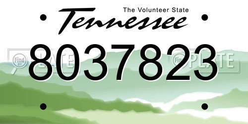 8037823 Tennessee License Plate