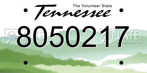 8050217 Tennessee License Plate