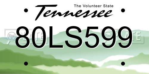 80LS599 Tennessee License Plate