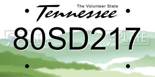 80SD217 Tennessee License Plate