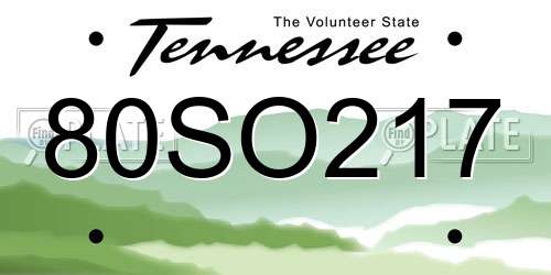 80SO217 Tennessee License Plate