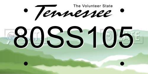 80SS105 Tennessee License Plate
