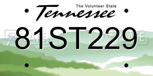 81ST229 Tennessee License Plate