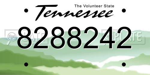 8288242 Tennessee License Plate
