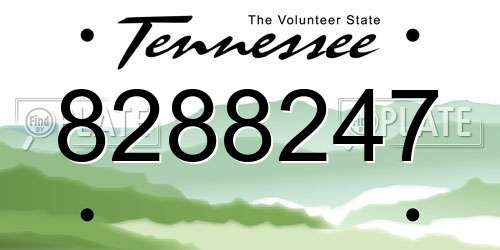 8288247 Tennessee License Plate