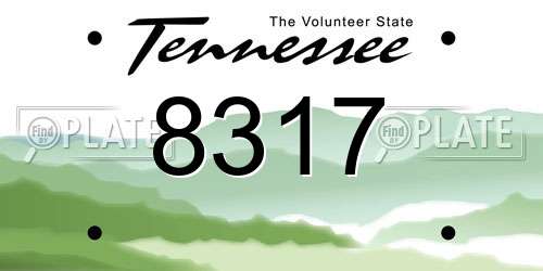 8317 Tennessee License Plate