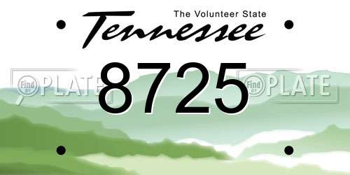 8725 Tennessee License Plate
