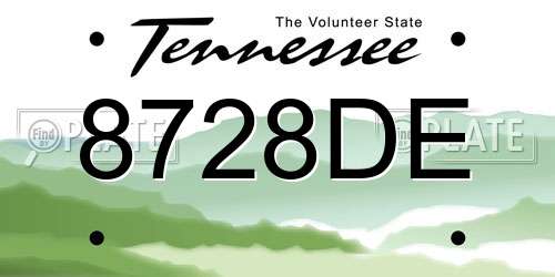 8728DE Tennessee License Plate