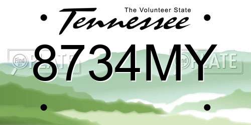 8734MY Tennessee License Plate