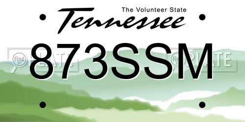 873SSM Tennessee License Plate