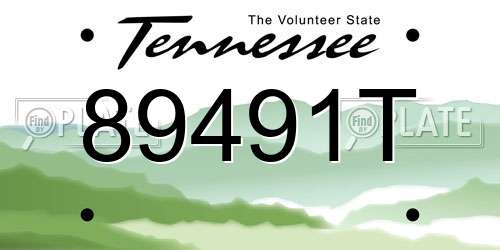 89491T Tennessee License Plate
