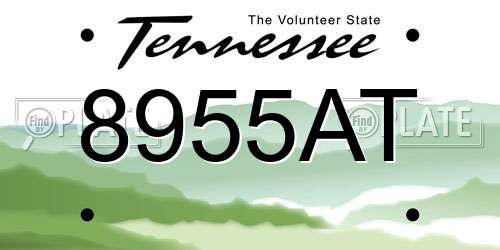 8955AT Tennessee License Plate