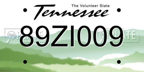 89ZI009 Tennessee License Plate