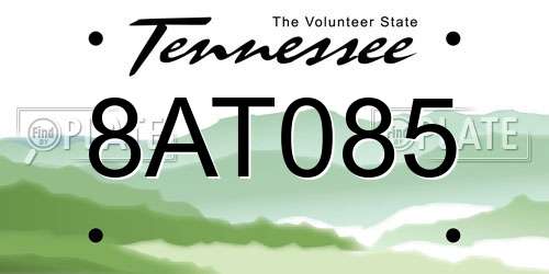 8AT085 Tennessee License Plate
