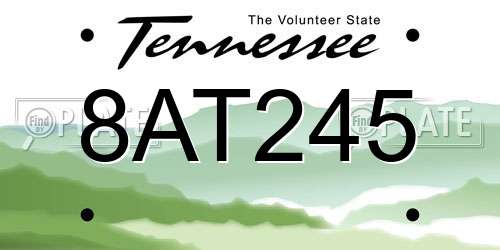 8AT245 Tennessee License Plate