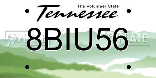8BIU56 Tennessee License Plate