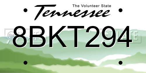 8BKT294 Tennessee License Plate