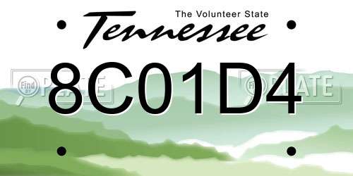 8C01D4 Tennessee License Plate