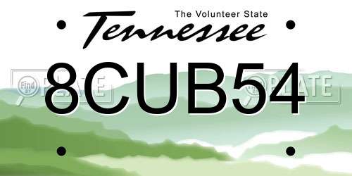 8CUB54 Tennessee License Plate