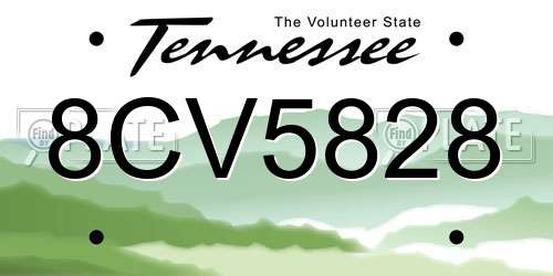 8CV5828 Tennessee License Plate