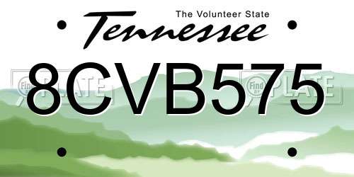 8CVB575 Tennessee License Plate