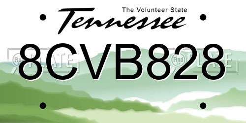 8CVB828 Tennessee License Plate