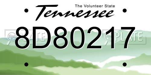 8D80217 Tennessee License Plate