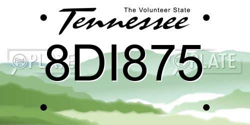 8DI875 Tennessee License Plate