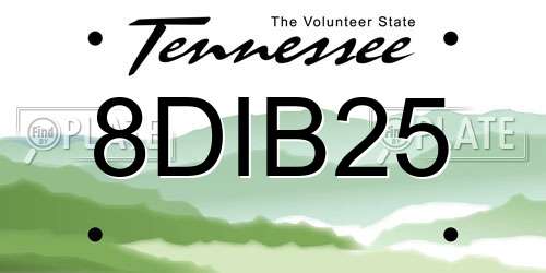 8DIB25 Tennessee License Plate