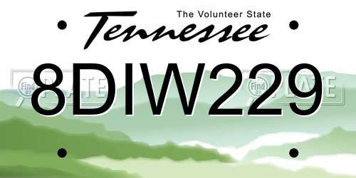 8DIW229 Tennessee License Plate