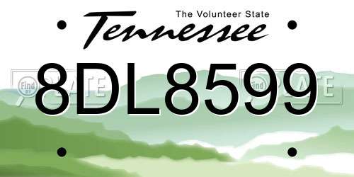 8DL8599 Tennessee License Plate