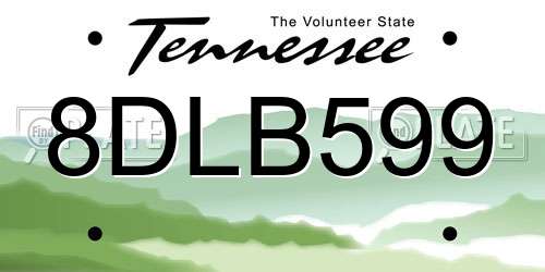 8DLB599 Tennessee License Plate