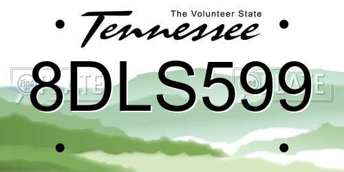8DLS599 Tennessee License Plate